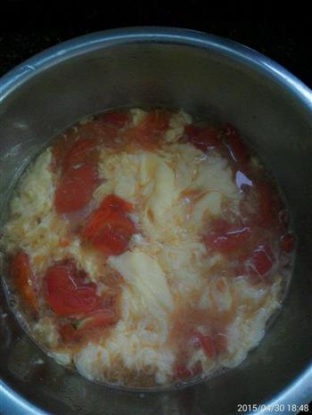 简单的番茄鸡蛋汤的做法图解5
