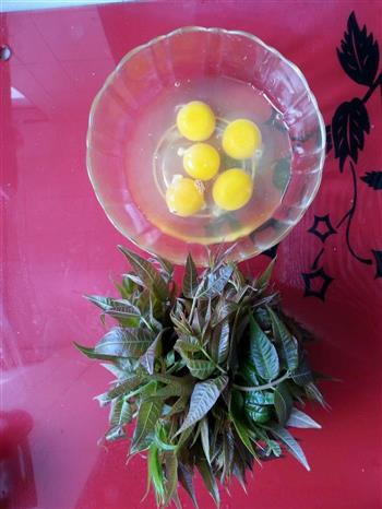 香椿炒鸡蛋的做法步骤1