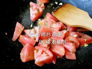 全民赛西红柿炒鸡蛋-秘制版的做法步骤4