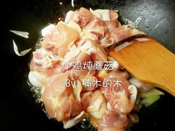 小鸡炖蘑菇+松茸-美味的做法步骤5