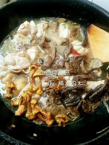 小鸡炖蘑菇+松茸-美味的做法步骤8