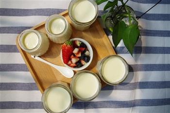 自制超好吃的原味老酸奶 天然无添加的做法步骤10