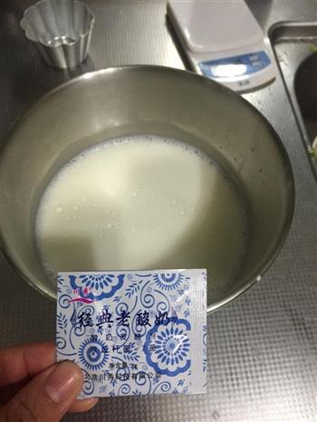 自制超好吃的原味老酸奶 天然无添加的做法步骤5