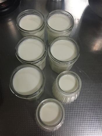 自制超好吃的原味老酸奶 天然无添加的做法步骤6