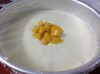芒果酸奶冻芝士蛋糕的做法步骤7