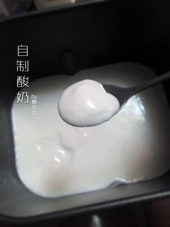 原味酸奶的做法图解9