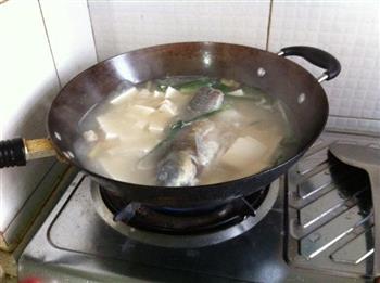 砂锅鲫鱼豆腐汤的做法步骤5