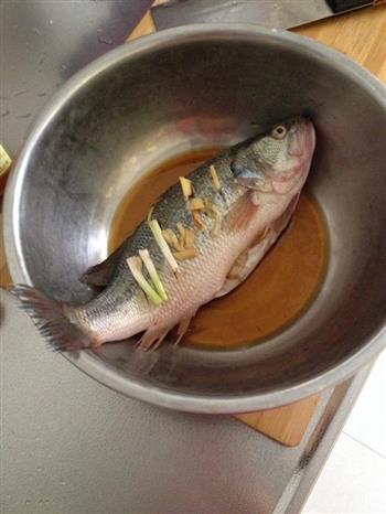 红烧鲈鱼的做法步骤1