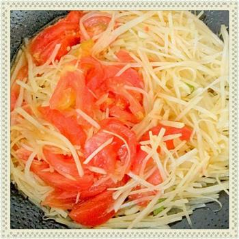 番茄土豆丝的做法步骤6