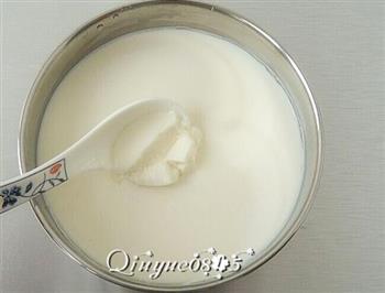 谷物果粒酸奶的做法图解9