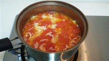 西红柿蛋汤的做法步骤14