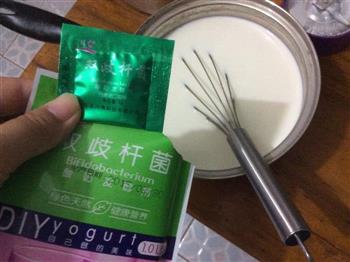 自制双歧杆菌酸奶的做法图解4