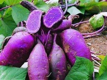紫薯开花馒头的做法图解17