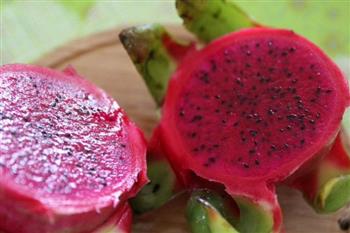 进口红肉火龙果-水果酵素的做法步骤3