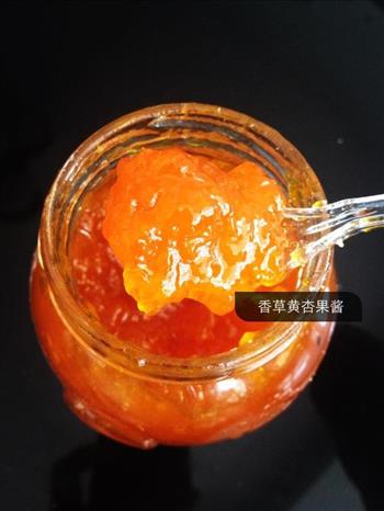 香草黄杏果酱的做法步骤2