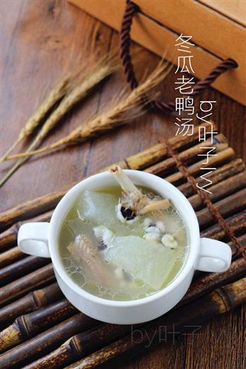 广东靓汤-冬瓜老鸭汤的做法步骤9