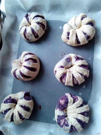 花式紫薯面包的做法步骤7