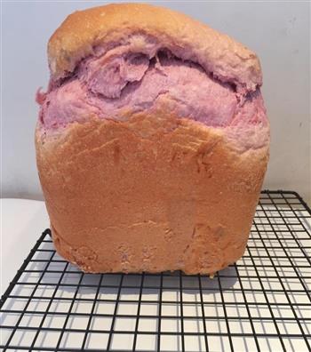 紫薯蔓越莓面包的做法步骤8