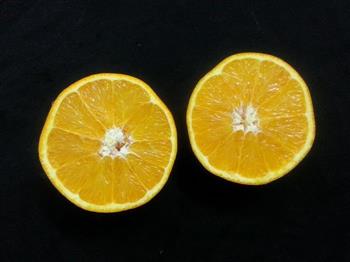 夏季排毒良方-增强活力的鲜榨橙汁的做法图解2