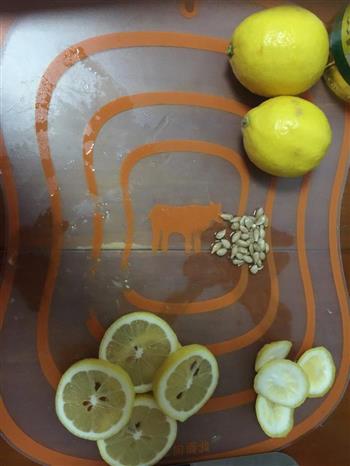 柠檬蜜--美容养颜排毒佳品的做法步骤2