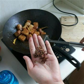 就是爱吃肉-红烧肉炖土豆的做法图解10