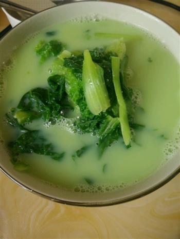 绿豆汁儿煮白菜的做法步骤4