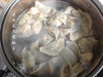 夏季佳肴-素三鲜饺子的做法步骤9