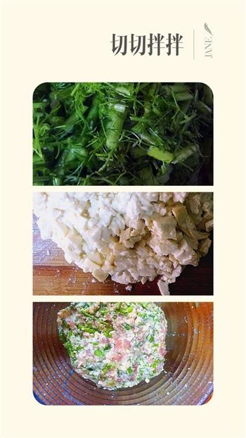 夏日馋猫的茴香豆腐牛肉丸子汤的做法图解4