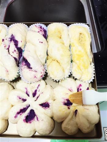 有颜值更美味的蜂蜜紫薯面包卷and香草椰蓉面包卷的做法步骤12