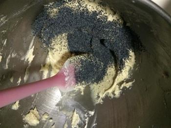 奶油奶酪块罂粟籽磅蛋糕的做法步骤6