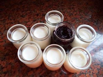 蓝莓酸奶的做法步骤10