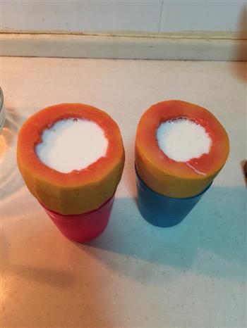 木瓜牛奶冻/木瓜椰奶冻的做法步骤5