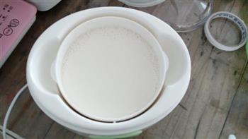 自制蜂蜜酸奶的做法图解5