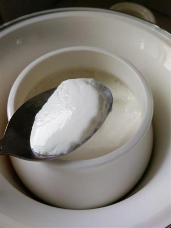 麦片原味酸奶杯的做法步骤9
