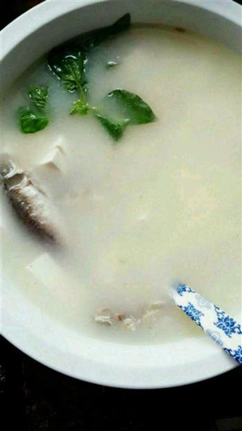 奶白鲫鱼豆腐汤的做法图解3