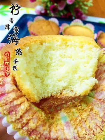 柠香蜂蜜海绵蛋糕的做法步骤10