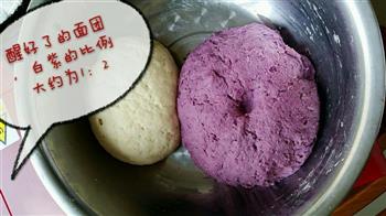 养生紫薯开花馒头的做法步骤2