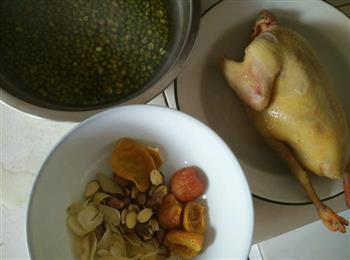 绿豆鸽子汤的做法步骤1