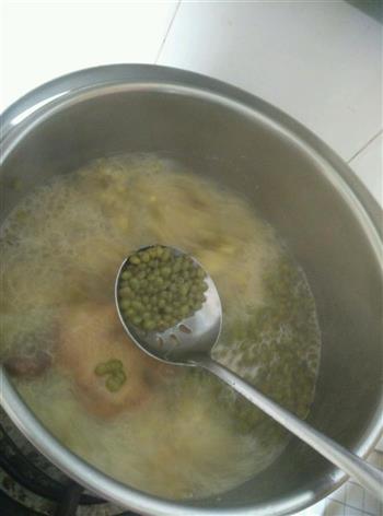绿豆鸽子汤的做法图解5