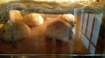 蜜豆墨西哥面包的做法步骤5