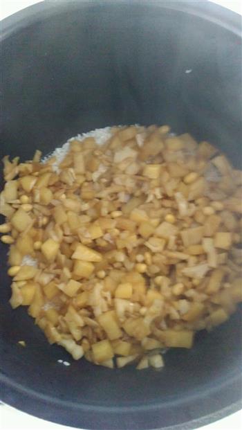 木瓜芦荟土豆藕闷饭的做法步骤6