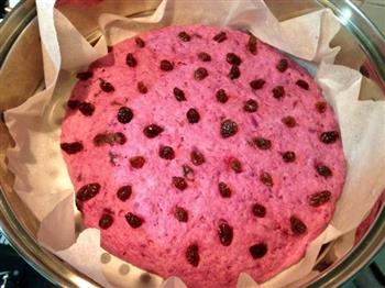 紫薯发糕饼的做法步骤7