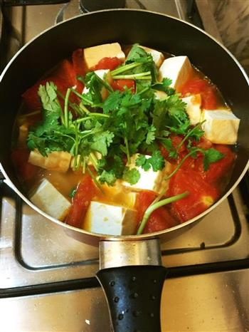 番茄豆腐汤的做法图解7