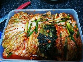 韩国辣白菜的做法步骤8