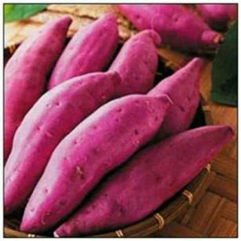 紫薯山药浆-可以瘦腿的美味的做法图解1
