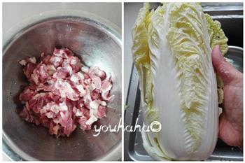 白菜猪肉包子的做法步骤1