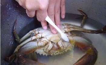阳澄湖大闸蟹的最美味做法的做法步骤1