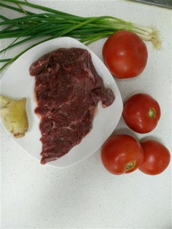 番茄炖牛腩，不需要刀工的开胃菜的做法步骤1