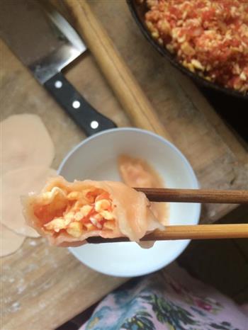 西红柿鸡蛋饺子的做法步骤5