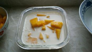 芒果牛奶炖燕窝的做法图解5